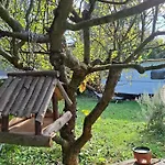 Gomba Kert Lägenhet
