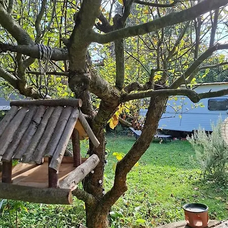 Gomba Kert Apartament