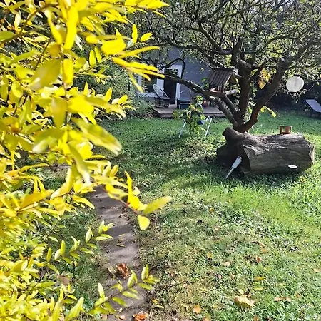 Gomba Kert Nagymaros